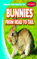 Bunnies from Head to Tail