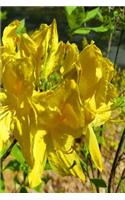 Journal Springtime Blooming Rhododendron: (Notebook, Diary, Blank Book)(Flower Photo Journals Notebooks Diaries)