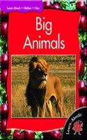 Big Animals