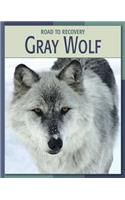Gray Wolf