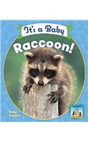 It's a Baby Raccoon: (Baby Mammals)