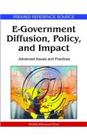 E-Government Diffusion, Policy, and Impact