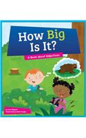 How Big Is It?