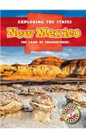 New Mexico