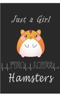 Just a girl who loves Hamsters journal