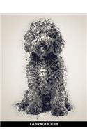 Labradoodle: Notebook with Alternate Lined and Blank Pages for Writing & Drawing(19 Dog Novelty Art Journal)