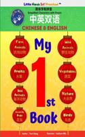 My 1st Book
