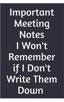 Important Meeting Notes I Won't Remember If I Don't Write Them Down