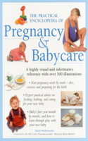 Practical Encyclopedia of Pregnancy & Babycare
