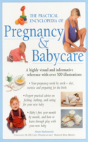 The Practical Encyclopedia of Pregnancy & Babycare