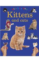 Sticker Fun - Kittens & Cats