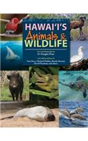 Hawaii's Animals and Wildlife