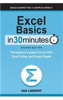 Excel Basics In 30 Minutes (2nd Edition)