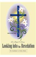Looking Into the Revelation