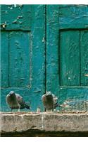 Pigeons in Front of Teal Blue Door: 150 page lined 6 x 9 notebook/diary/journal