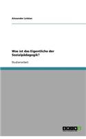 Was ist das Eigentliche der Sozialpädagogik?