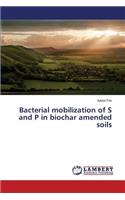 Bacterial mobilization of S and P in biochar amended soils