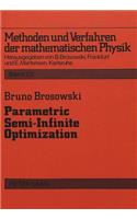 Parametric Semi-Infinite Optimization