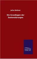 Grundlagen der Seelenstörungen