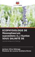 ECOPHYSIOLOGIE DE Mesosphaerum suaveolens (L.) Kuntze SOUS SALINITÉ DE