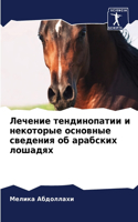 Лечение тендинопатии и некоторые основны