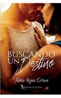 Buscando un destino