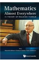 Mathematics Almost Everywhere: In Memory Of Solomon Marcus