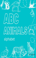 ABC Animals Alphabet Colorful Letters from A-Z Letters for Kids