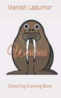 Walrus