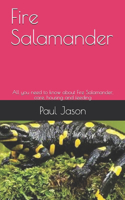 Fire Salamander: All you need to know about Fire Salamander, care, housing and feeding