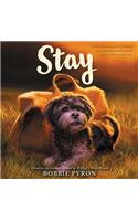 Stay