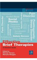 Effective Brief Therapies