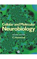 Functional Neurobiology of Aging