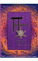 Template - A Holonomic Model of Transcendence