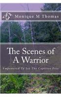 Scenes of A Warrior