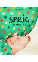 Sprig the Rescue Pig