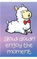 Slow Down Enjoy The Moment: Llama Funny Cute And Colorful Journal Notebook For Girls and Boys of All Ages. Great Surprise Present for School, Birthday, Anniversary, Christmas, 