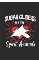 Sugar Gliders Are My Spirit Animals