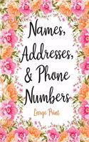 Names Addresses & Phone Numbers Large Print