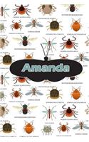 Amanda: Bug Insect Weekly Planer Book Notebook Journal Book 120 Pages 6x9