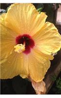 Yellow Hibiscus Flower Notebook