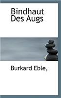 Bindhaut Des Augs