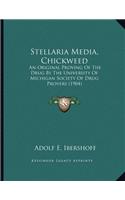 Stellaria Media, Chickweed