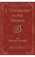 A Tenderfoot in the Tropics (Classic Reprint)