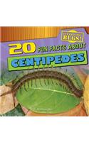 20 Fun Facts about Centipedes