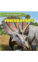 Triceratops