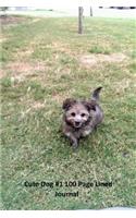Cute dog #1