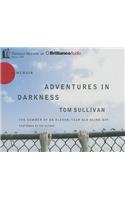 Adventures in Darkness: The Summer of an Eleven-Year-Old Blind Boy