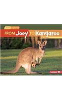 From Joey to Kangaroo: (Start to Finish, Second Series)
