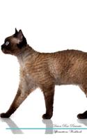 Devon Rex Affirmations Workbook Devon Rex Presents: Positive and Loving Affirmations Workbook. Includes: Mentoring Questions, Guidance, Supporting You.